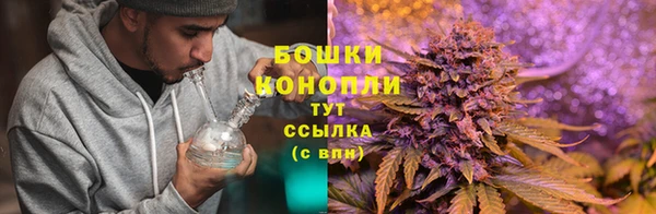 мдпв Покров