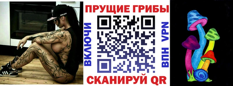 сколько стоит Ртищево Псилоцибиновые грибы Cubensis